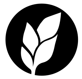Environment Tools: PDM, Poetry and Rye